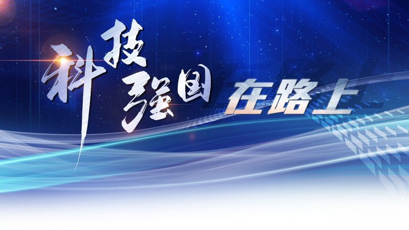 企业数据服务定制开发的秘密：精准满足需求的艺术