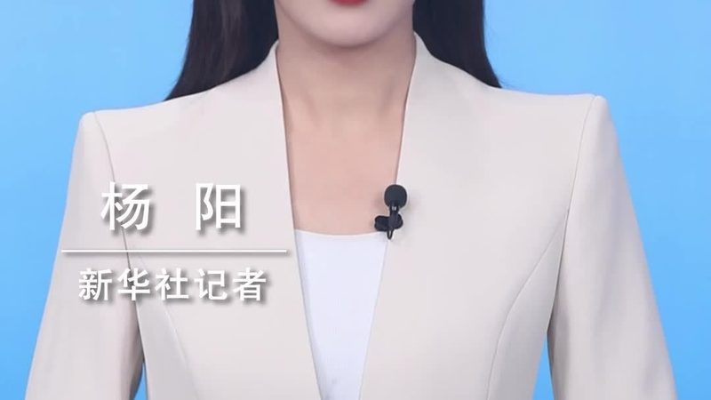 数据可视化报表：揭秘制作报价背后的考量